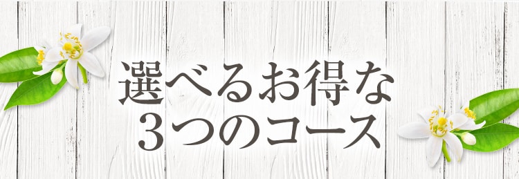 選べるお得な３つのコース