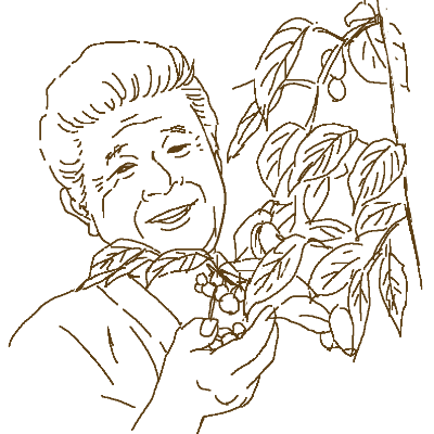 イラスト
