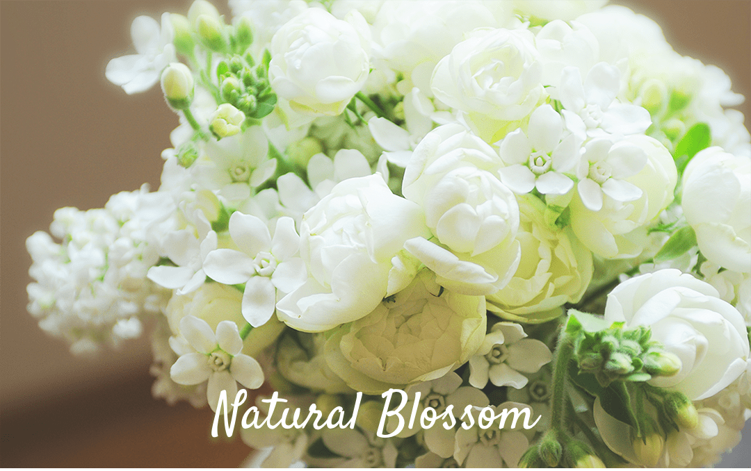 Natural Blossom ナチュラルブロッサム